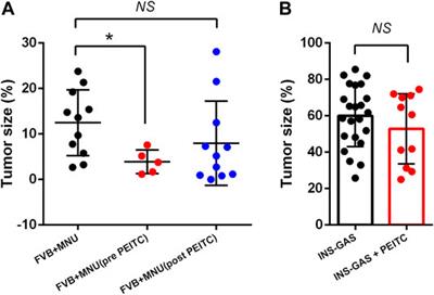 Chemopreventive Effects of Dietary Isothiocyanates in Animal Models of Gastric Cancer and Synergistic Anticancer Effects With Cisplatin in Human Gastric Cancer Cells